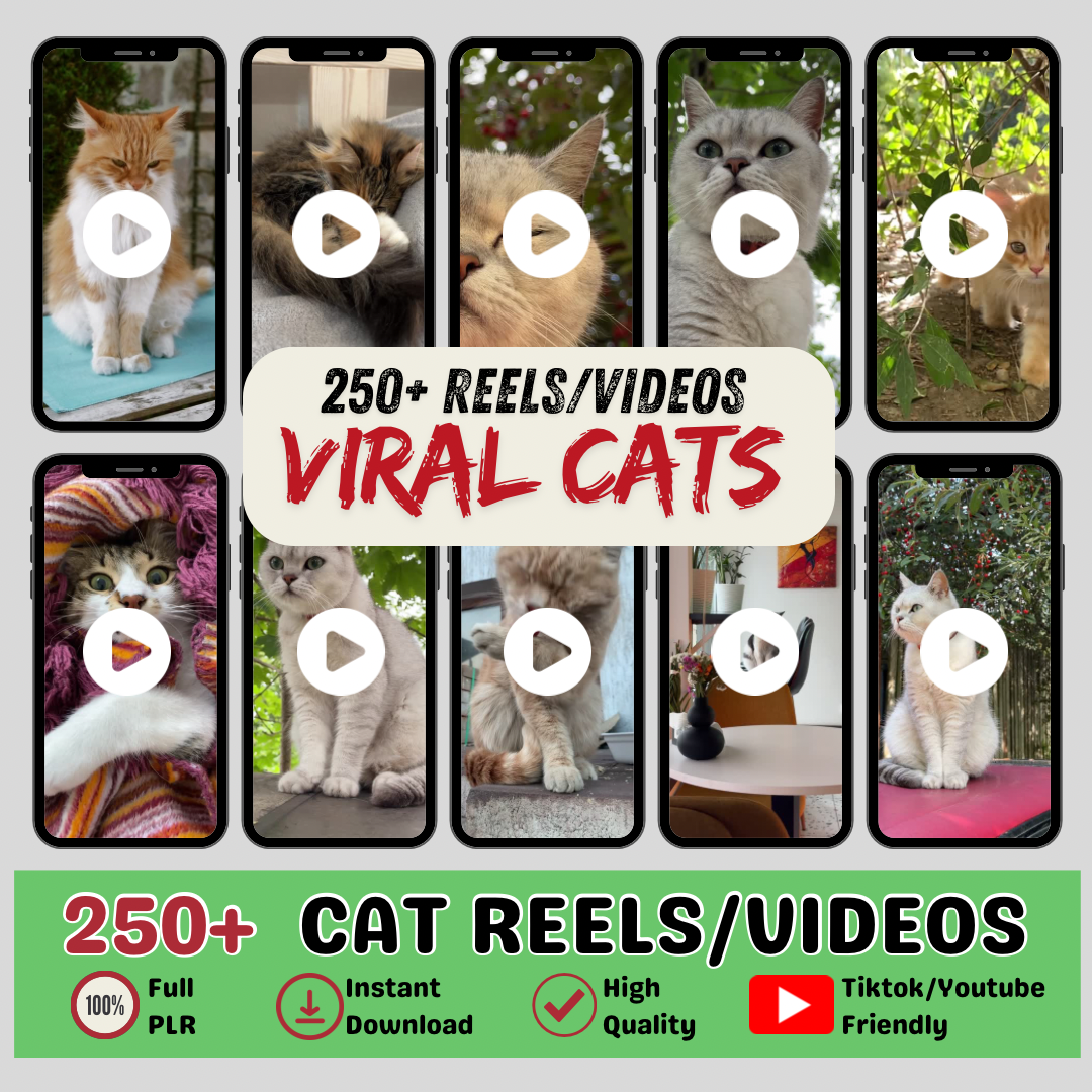 250+ High-Quality Cat Videos | PLR Rights Included